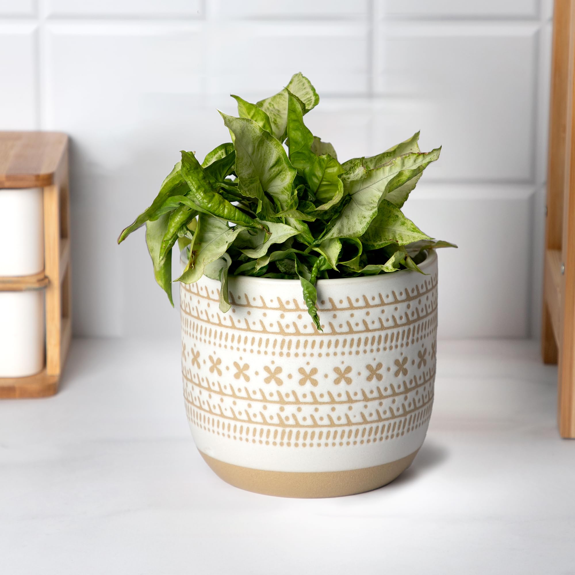 Anko Debossed Stoneware Planter | Gamla Pot for Home Decor, Office